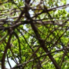 Międzynarodowy Dzień Ofiar Przestępstw – 22 lutego