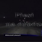 Od 1 września obowiązkowe odblaski!