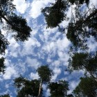 pasja